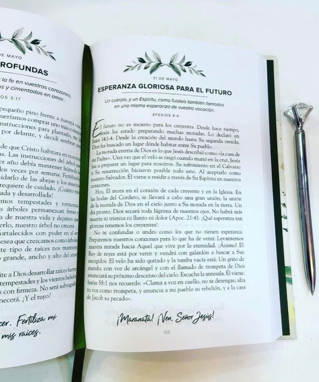 Un año en su presencia 