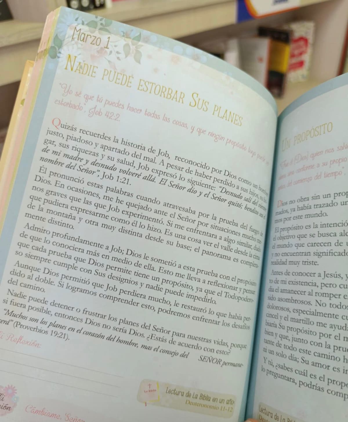 A sus pies volumen 2