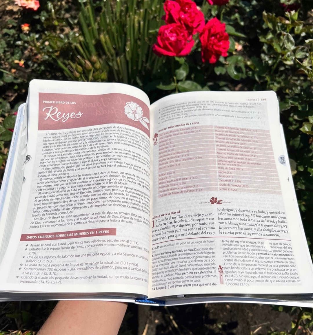 Biblia de Estudio Ser Mujer