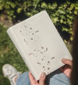 Biblia RVR60/ Los Lenguajes Del Amor/ Edición Oro Rosa