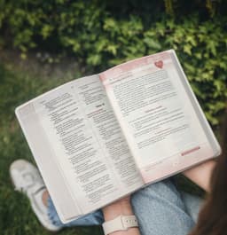 Biblia RVR60/ Los Lenguajes Del Amor/ Edición Oro Rosa