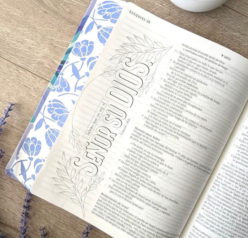 Biblia Inspira Español NTV Letra Grande Ramo Azul/ Semi Piel Filament