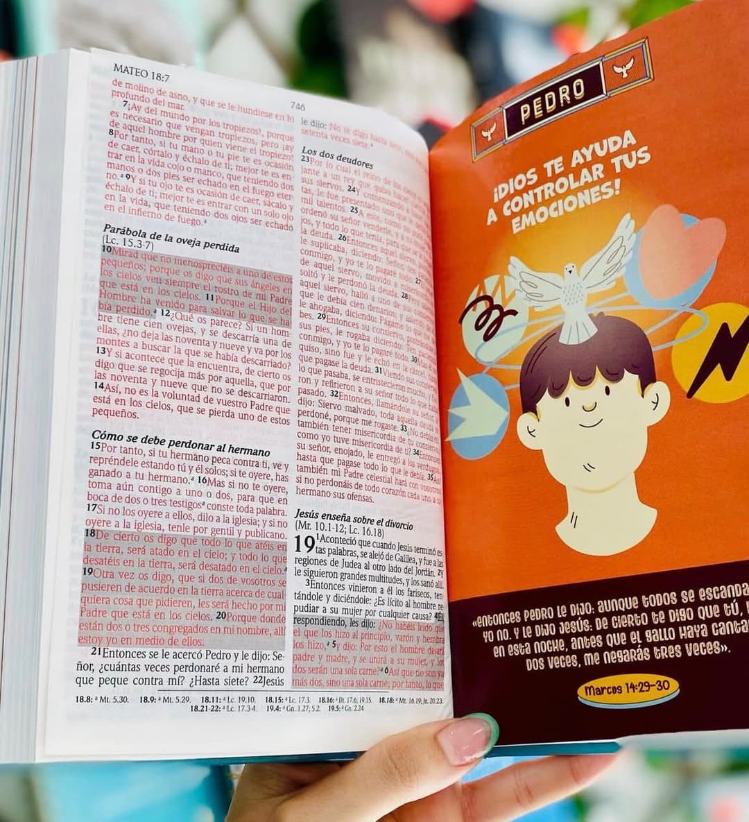 Biblia De Promesas Para Niños/ Azul/ Tapa Dura/ RVR1960 