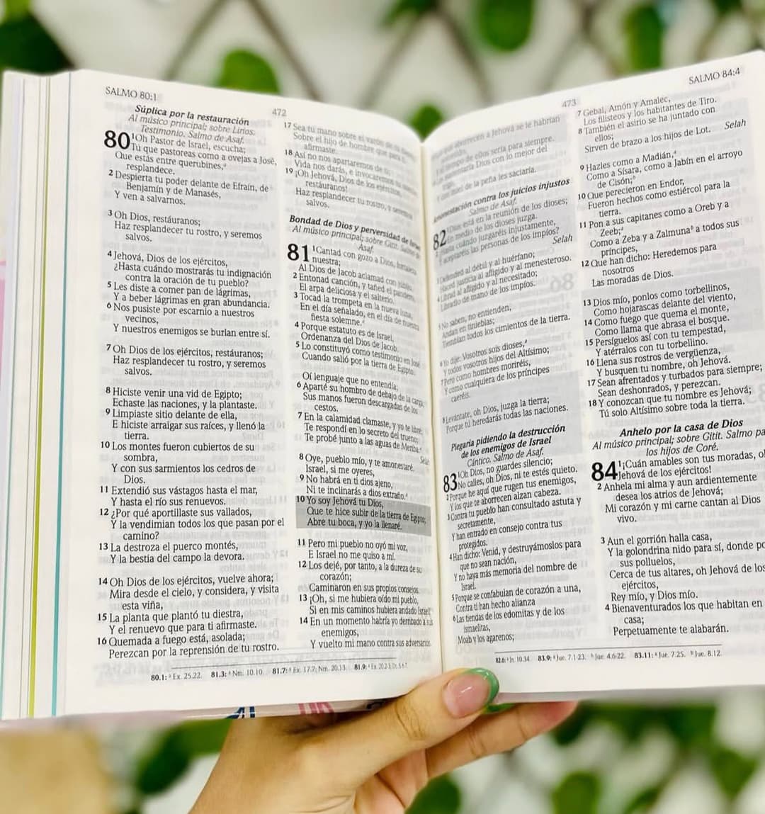 Biblia De Promesas Para Niñas/ Rosa/ Tapa Dura/ RVR1960 