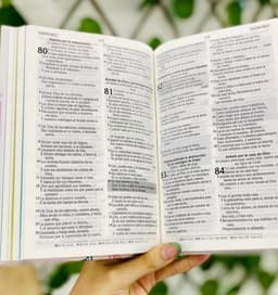 Biblia De Promesas Para Niñas/ Rosa/ Tapa Dura/ RVR1960 