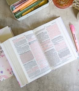 Biblia De Promesas Para Niñas/ Rosa/ Tapa Dura/ RVR1960 