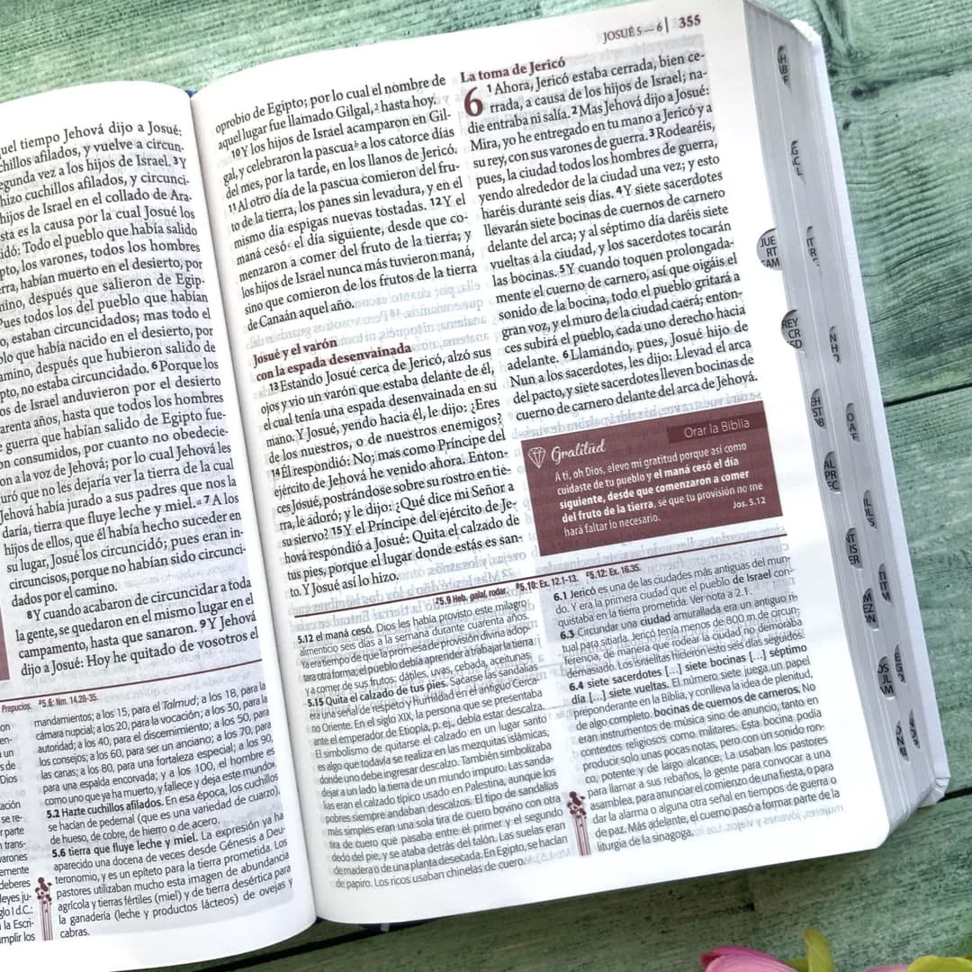 Biblia de Estudio Ser Mujer con Indice